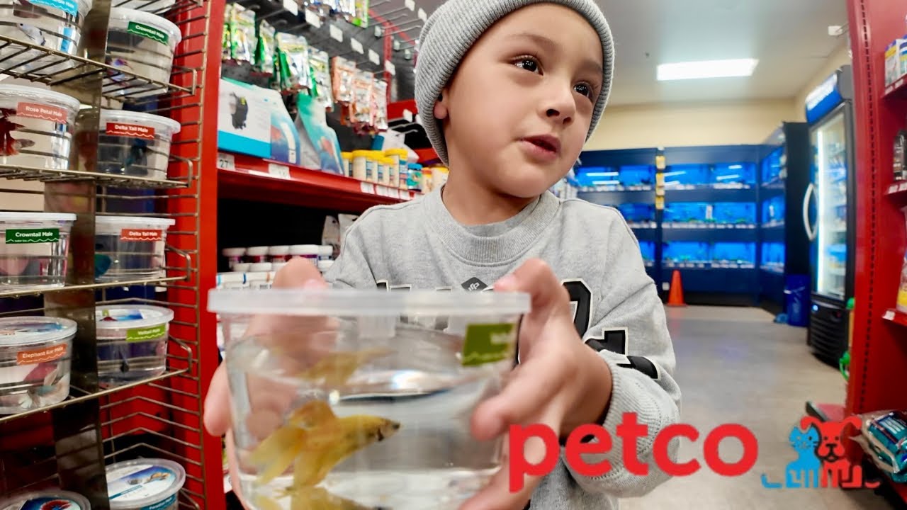 PETCO TRIP FOR KIDS🐠