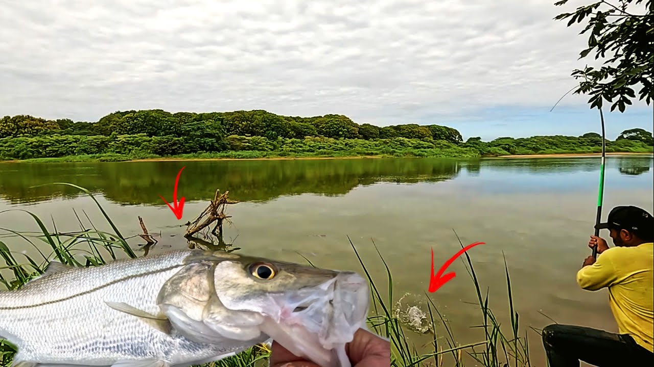 PESCA DE BARRANCO NA VARINHA DE MÃO QUANDO PEGA ESSE PEIXE O CORAÇÃO VAI NA MÃO AS PERNAS TREME.