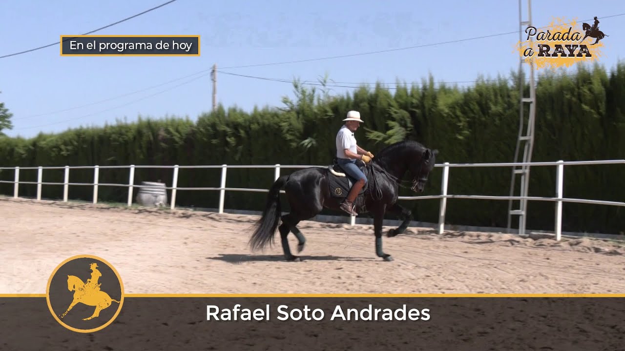 Parada a Raya 302