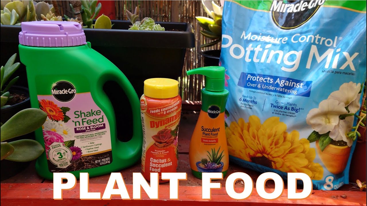 PLANT FOOD | Plant Fertilizers | VICZONS vlog