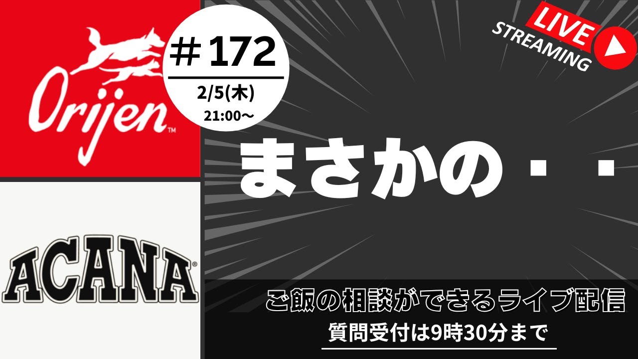 【質問は21:30まで】第172回ライブ | 愛犬のご飯, トリミング, ドッグフードのお悩み【初めての方は概要欄の確認をお願いします】
