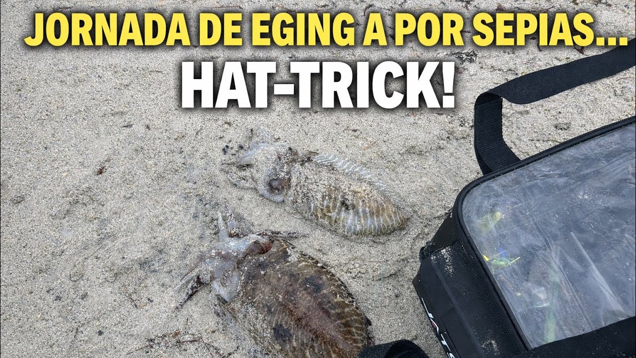 JORNADA DE EGING BUSCANDO SEPIAS Y… HAT-TRICK!