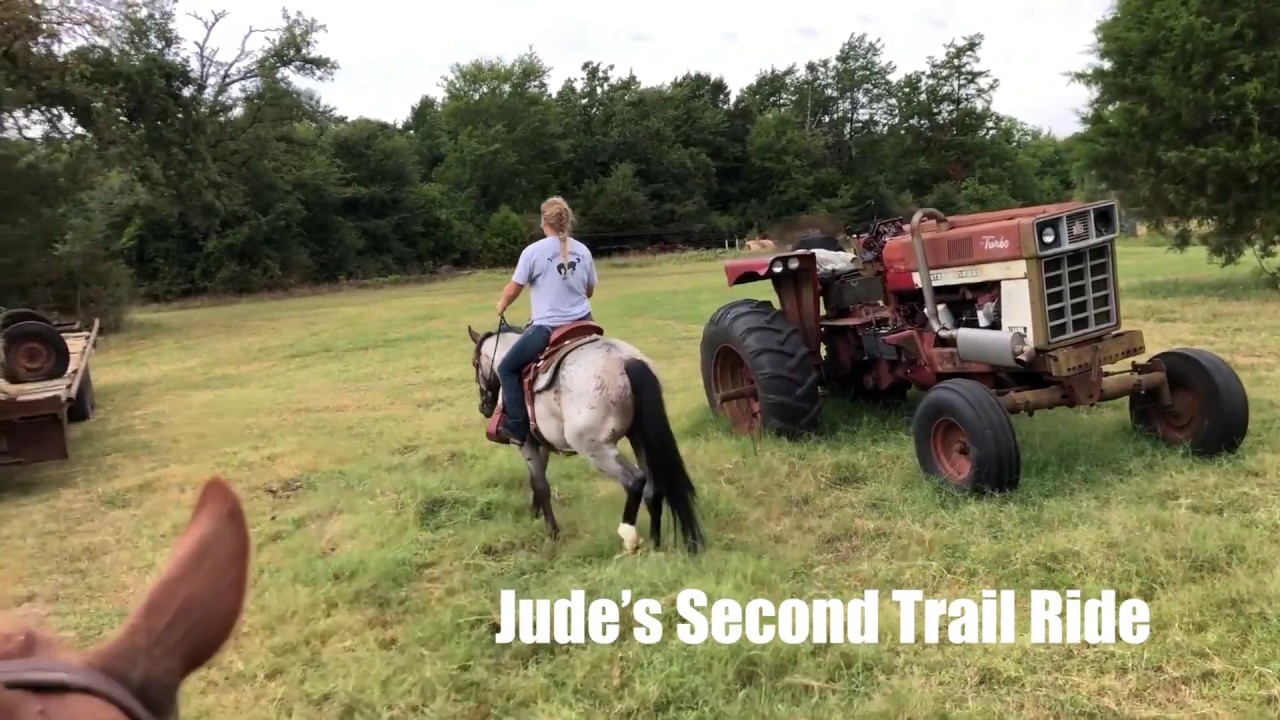 Second Trail Ride | Training Mustang Jude