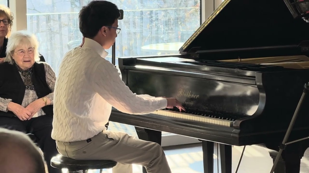 Beethoven op.27,2 3. Satz Presto agitato