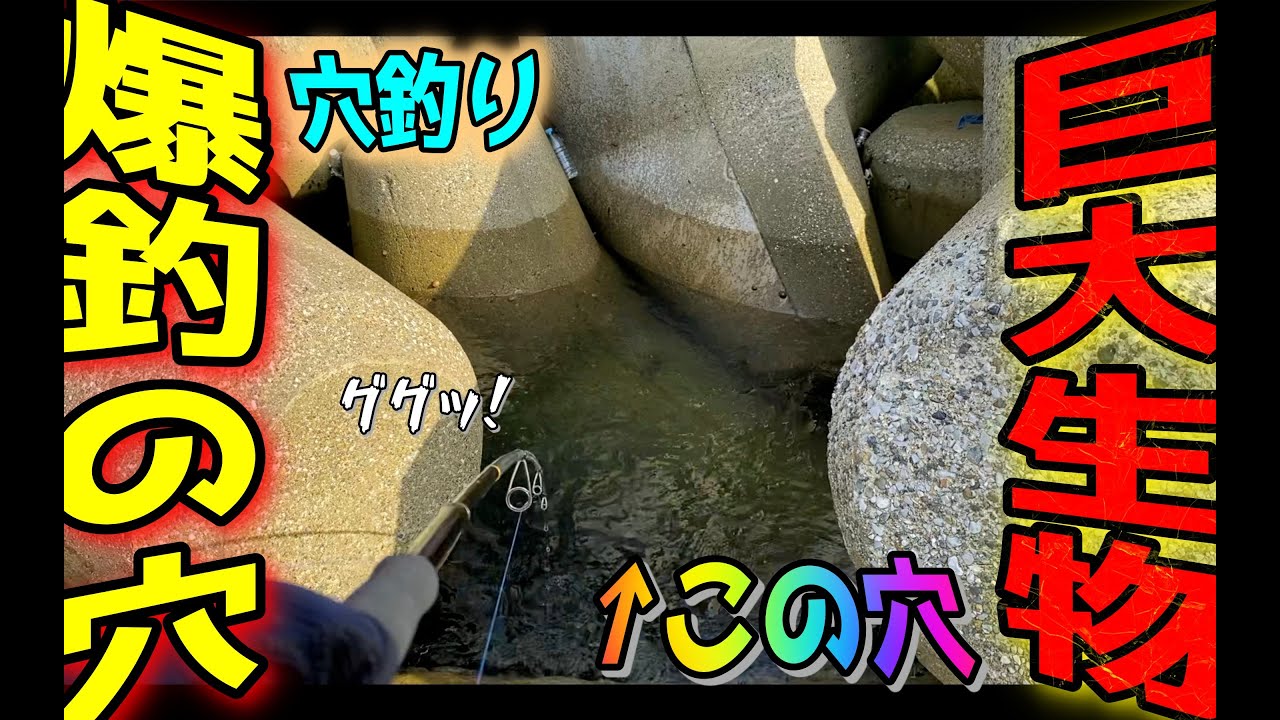 【穴釣り】何も釣れない時は穴釣りで美味しいアレを釣るのが最強説#釣り