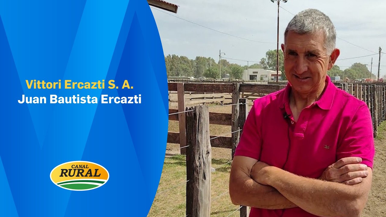 JUAN BAUTISTA ERCAZTI - VITTORI ERCAZTI S.A -  MV 04 03