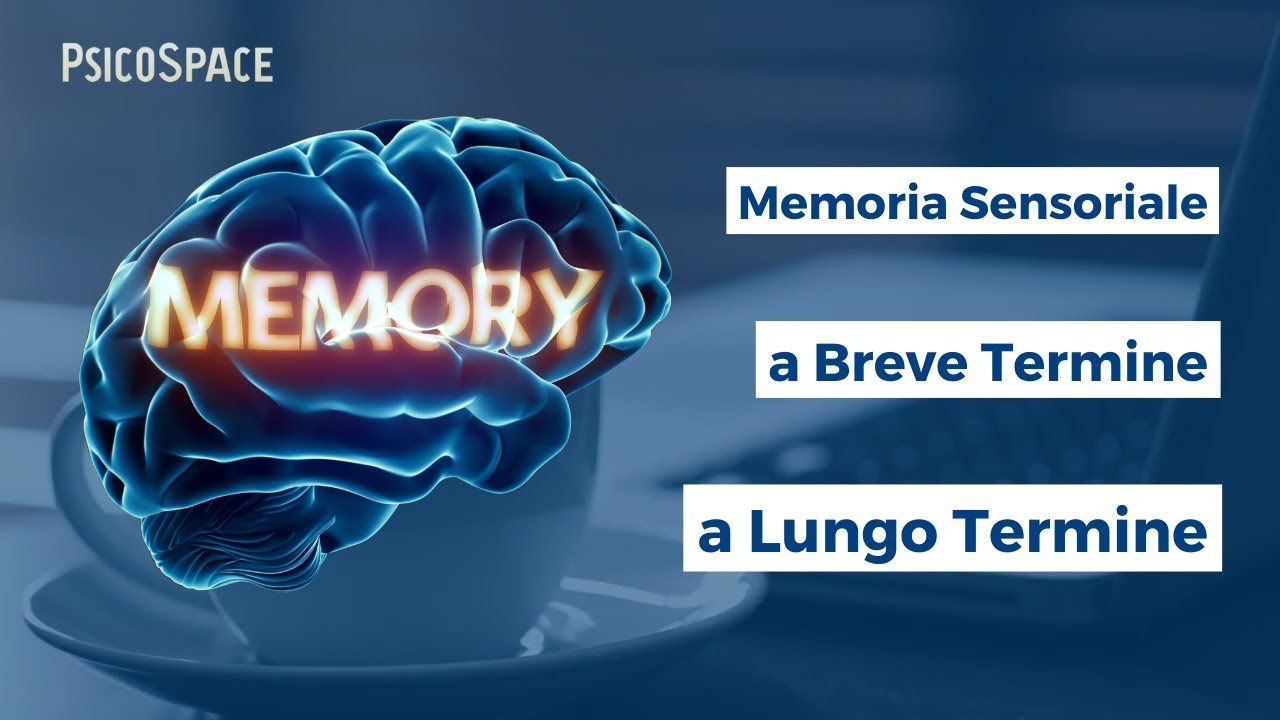 Capire la Memoria: Come il Cervello Elabora e Ricorda le Informazioni | HIP Storia della Psicologia
