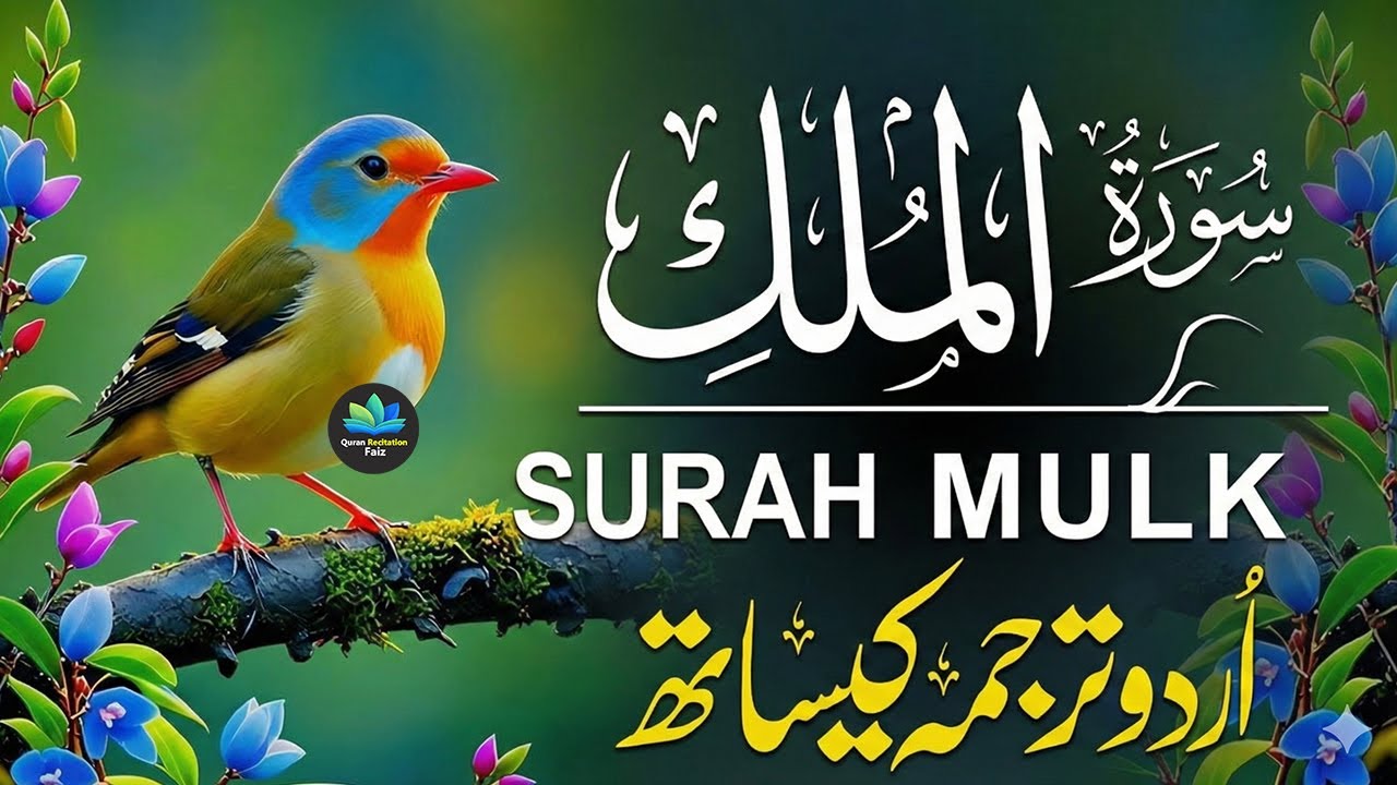 Surah Al Mulk 💚 (سورةالملك) With Beautiful voice HD | With Urdu & Hindi Translation 💚منصور غزنوي