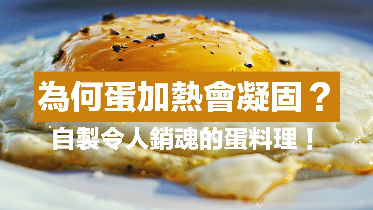 自製令人銷魂的蛋料理！然後順便知道一下：為何蛋加熱會凝固？｜科學大爆炸EP.54