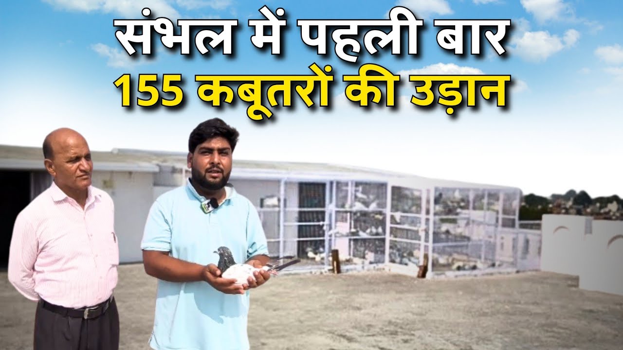 Sambhal Me Pehli Bar155 Kabootron ki Udaan - Sambhal | The Home Sanctuary