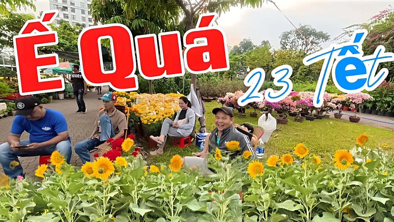 23al Tại CV Gia Định Quận Gò Vấp Người Bán Than Ế Ít Người Mua 