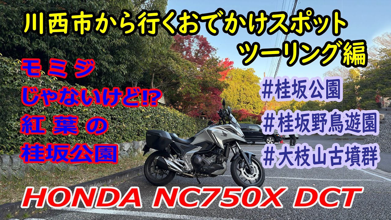 NC750X ツーリング（モミジじゃないけど⁉ 紅葉の桂坂公園）（走行距離：101㎞　燃費：27.5㎞/L）【川西市から行くおでかけスポット】
