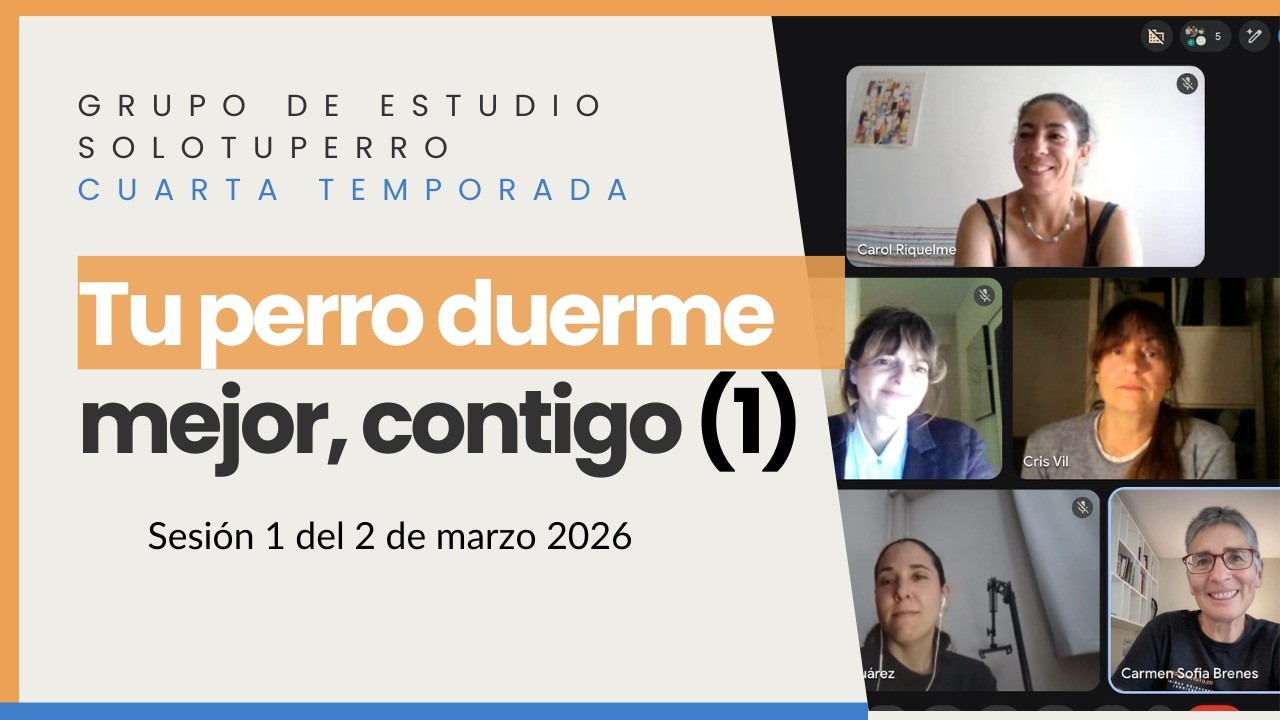 Los perros duermen mejor si están junto a sus tutores (1)