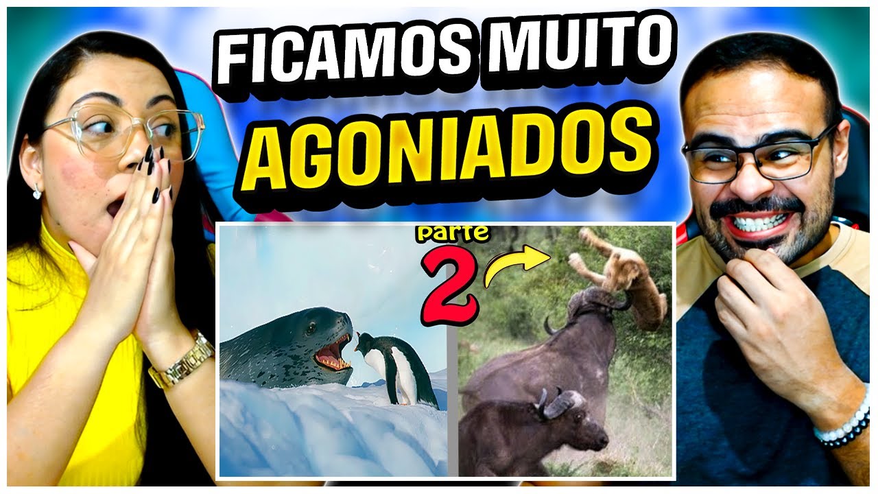 REACT FALA DE TUDO | 🔴 Quando os Animais Escolhem o Oponente Errado PARTE 2!