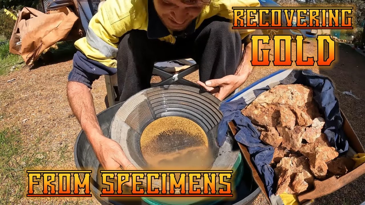 Processing SPECIMEN AND REEF GOLD for more than 2 AND A HALF OUNCES!
