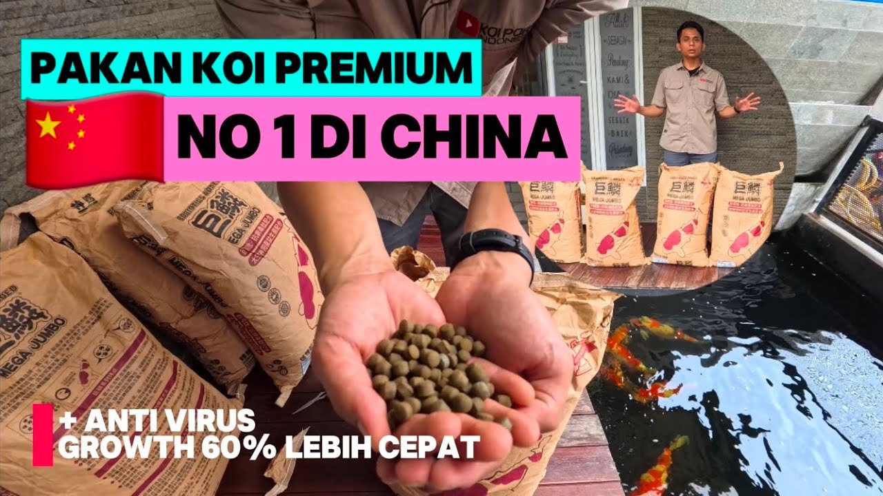 Pakan Import Mega Jumbo | Pakan Koi Terbaik