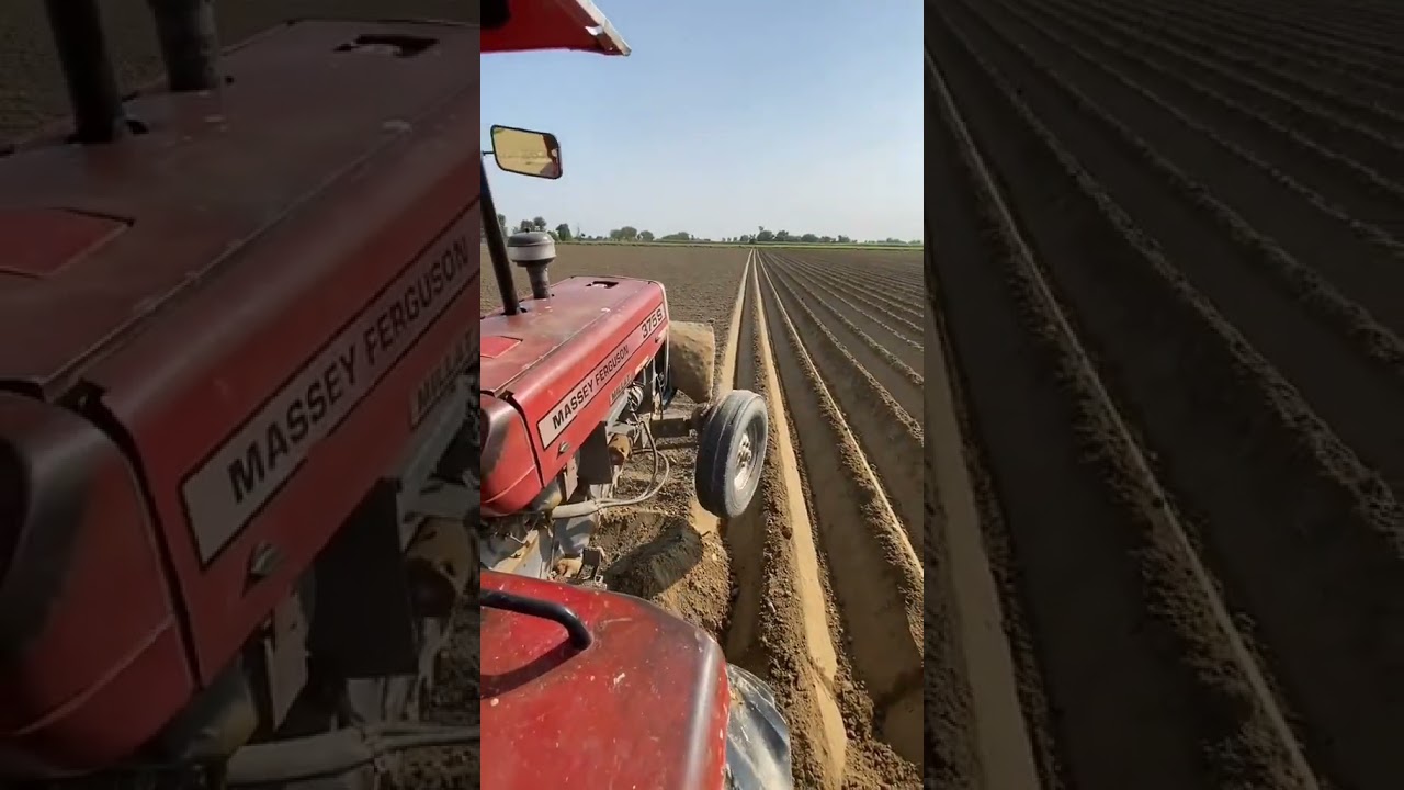 #shorts #viralvideos #shortvideo #amzingwork #viral #trending