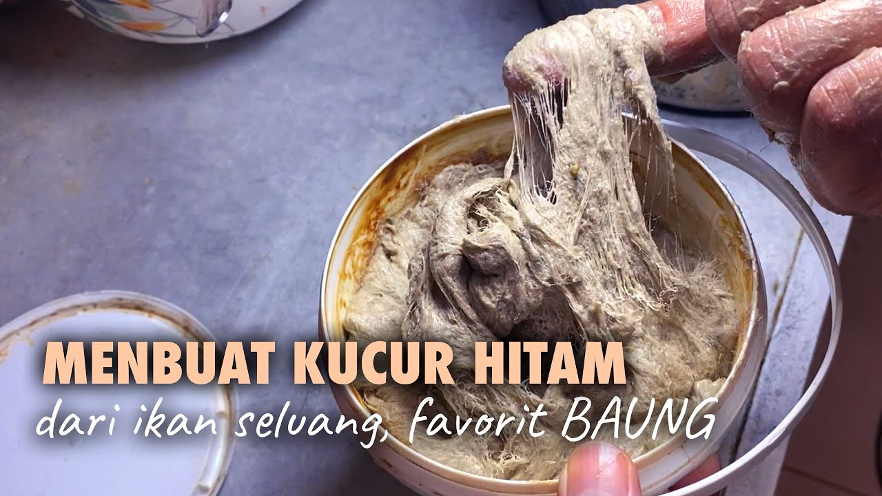 Membuat KUCUR HITAM dari ikan seluang, umpan favorit ikan BAUNG. 