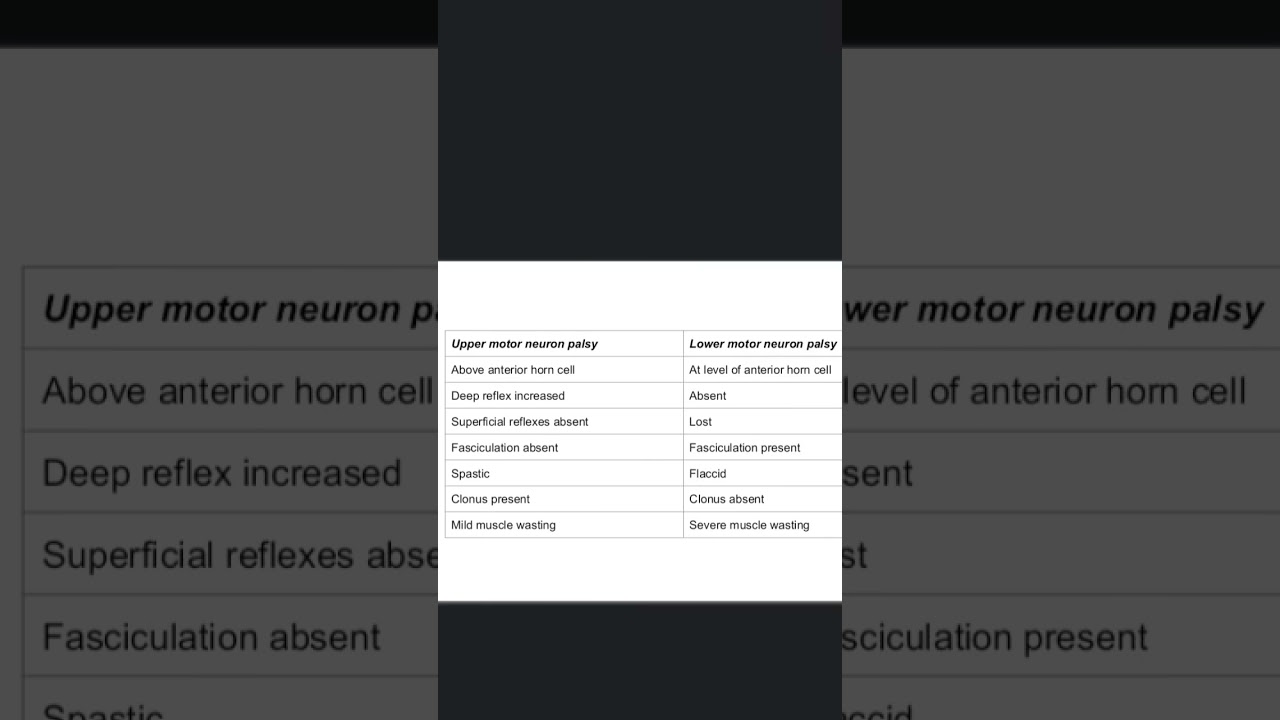 upper motor neuron lesion vs lower motor neuron lesion 