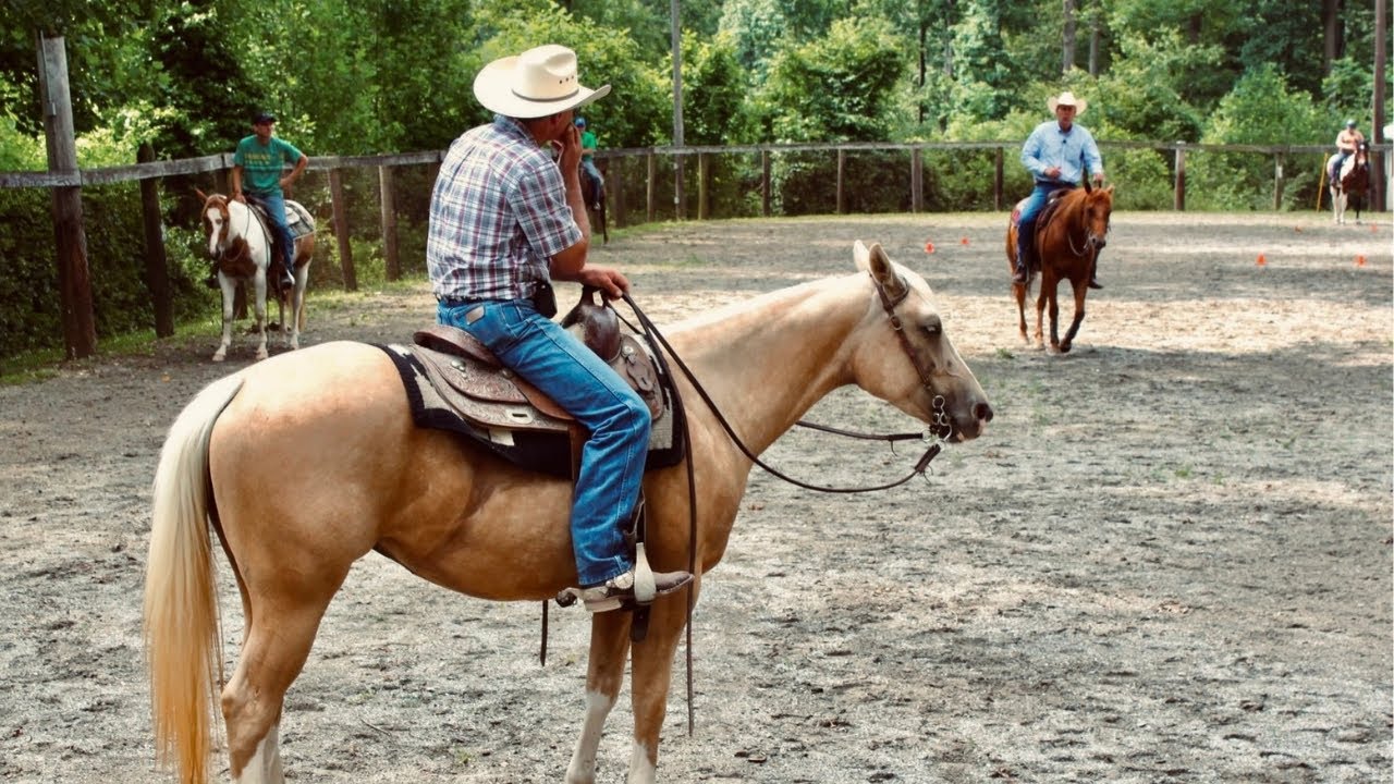 Breeding and Building the Versatile Horse:  A Horseman&rsquo;s Legacy (A Special Episode) - Herm Gailey