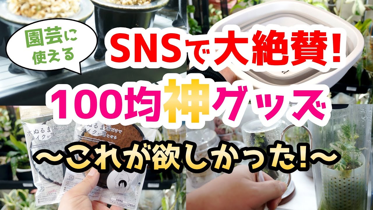 例の売り切れ商品も！？観葉植物にも使える100均神アイテム＆○○のプロが実践する地震対策の裏技♪【室内園芸】