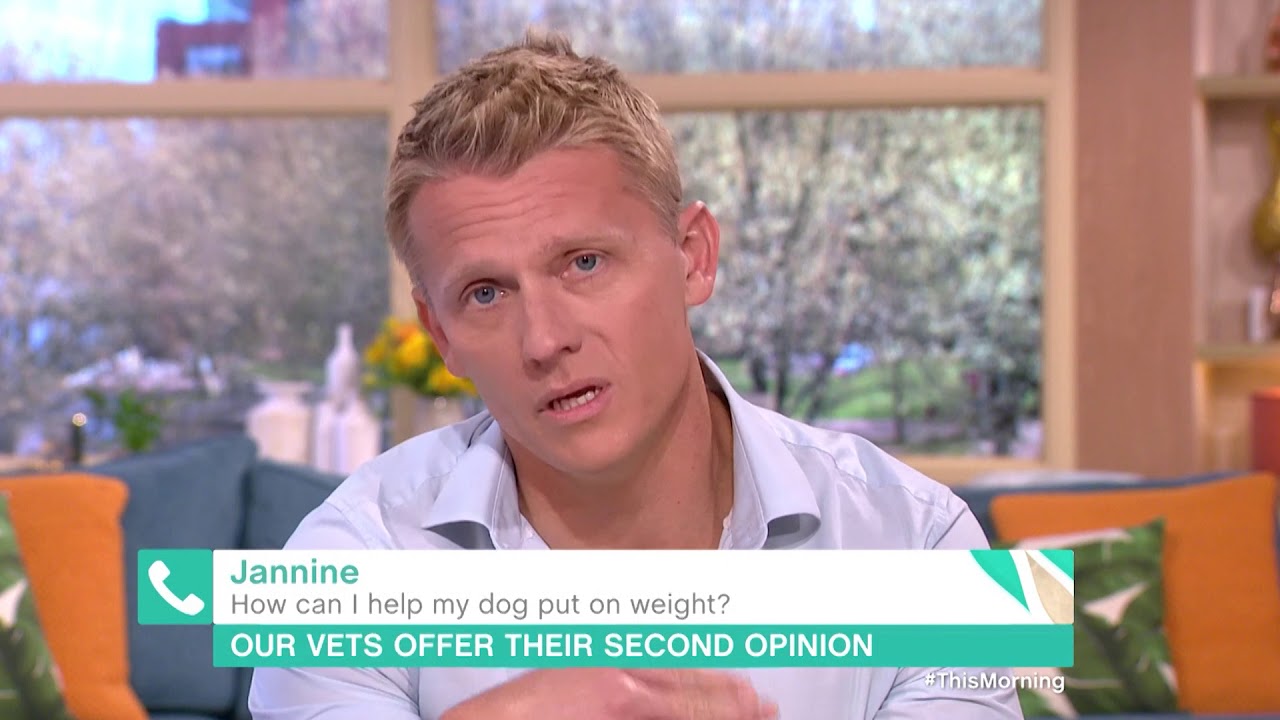 How Can I Help My Dog Put On Weight? | This Morning