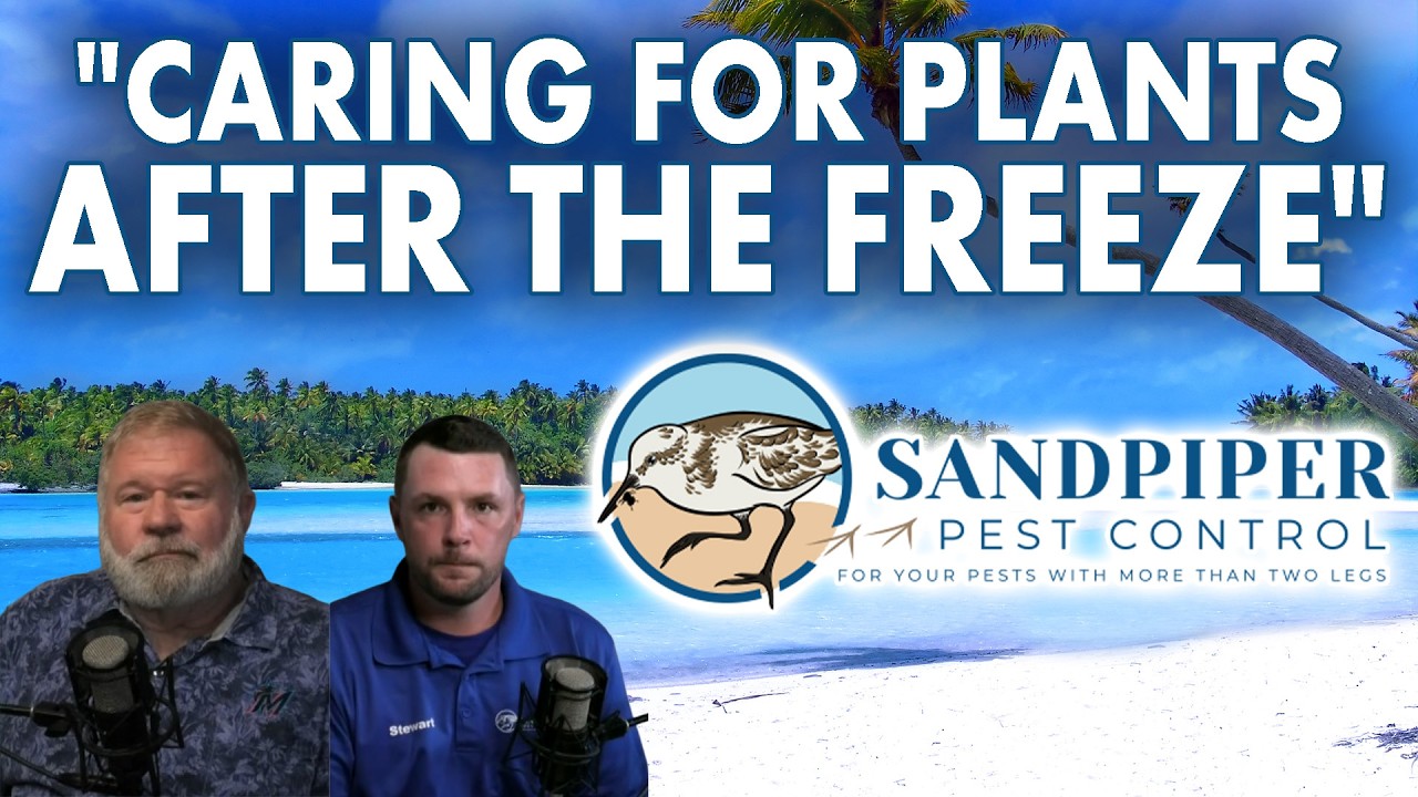 Sandpiper Pest Control Show - 