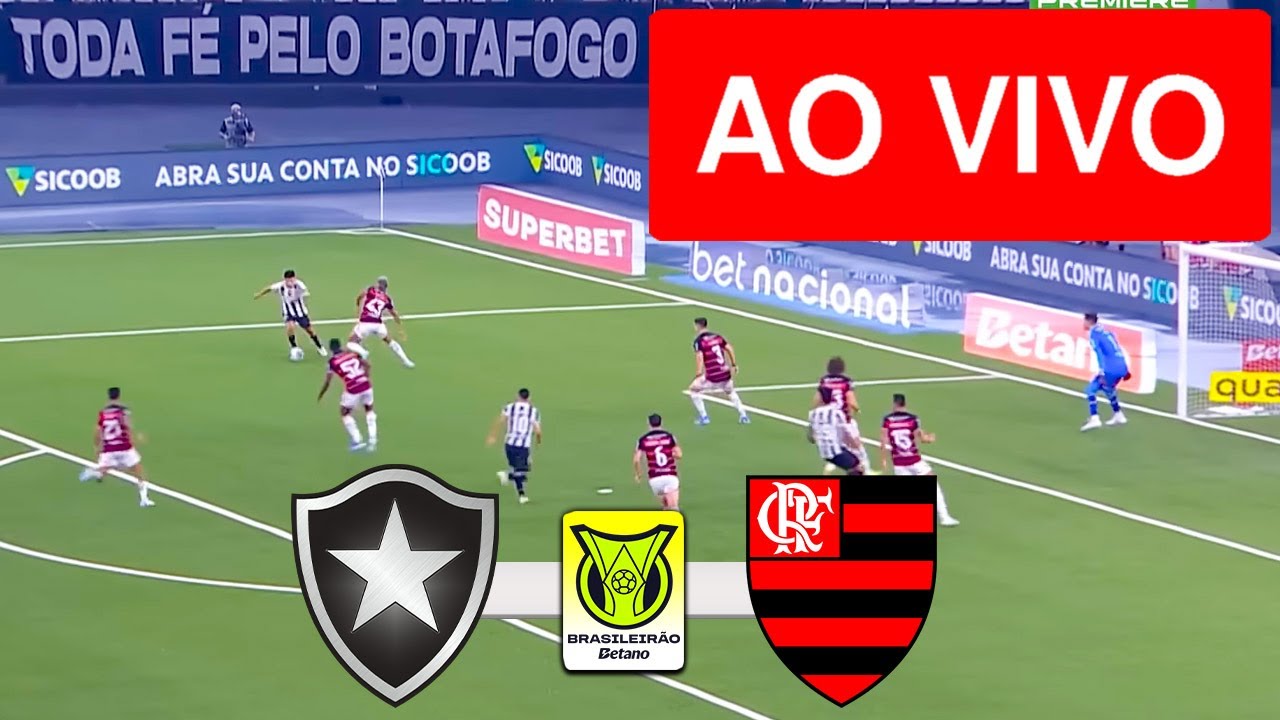BOTAFOGO X FLAMENGO AO VIVO (COM IMAGENS !!!) CAMPEONATO BRASILEIRO 2025 - ASSISTA AGORA!