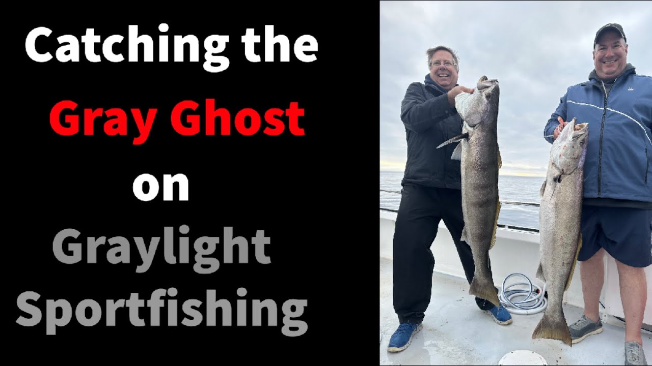 White Seabass - Planning the trip and how to catch them!