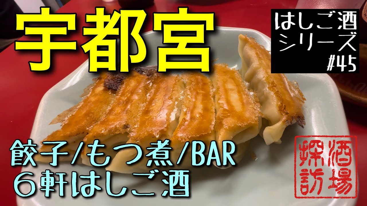 【はしご酒シリーズ#45】｢宇都宮はしご酒」チャンネル初の関東進出！餃子、もつ煮、BARなど６軒はしご酒