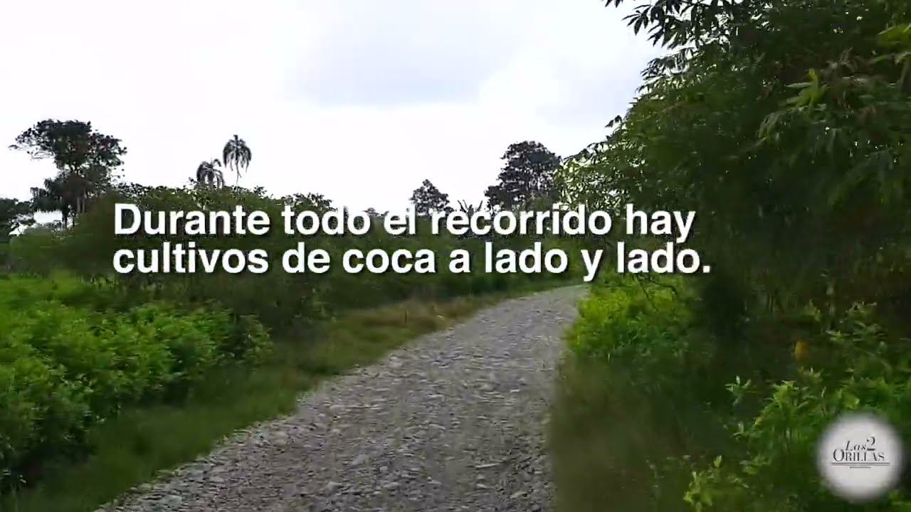 Recorrido por el Alto Mira, la capital de la coca en Colombia