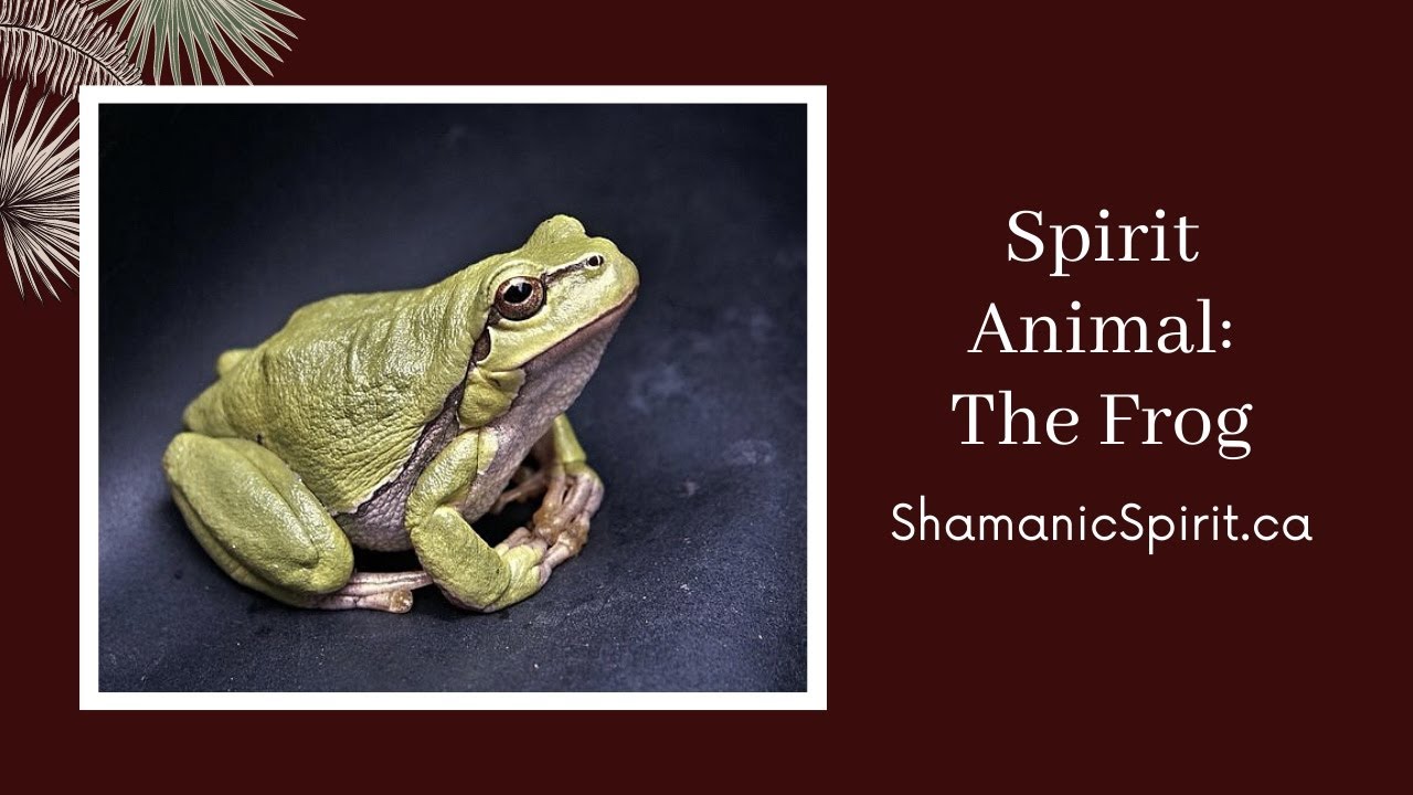 Animal Spirit Guide: The Frog (Shamanic Power Animal). Frog Symbolism