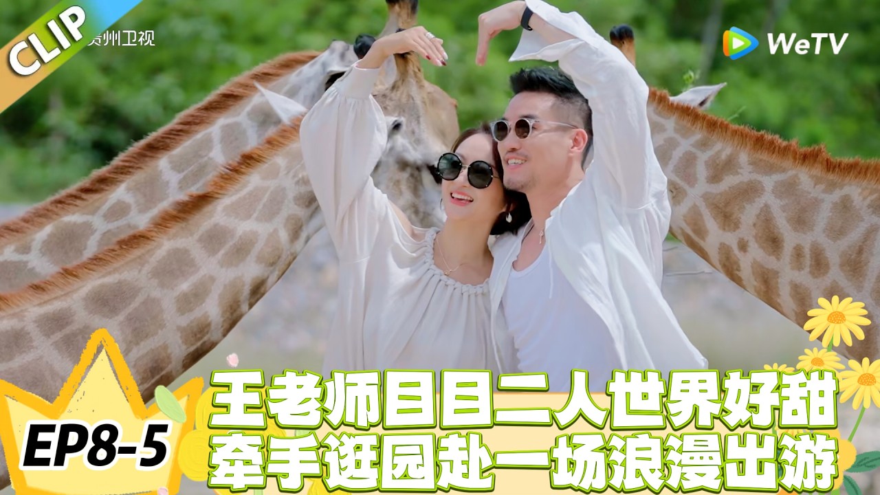 日落时分说爱你 EP8-5：动物园撒糖！王老师目目的甜蜜二人世界！#恋综 #日落时分说爱你
