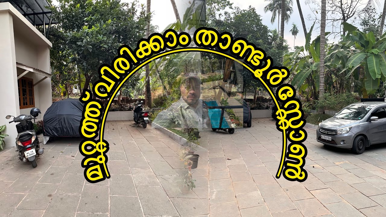 കട്ട വിരിക്കുന്ന ചെലവിൽ നിങ്ങൾക്ക് മുറ്റത്ത് നാച്ചുറൽ കല്ല് വിരിച്ചാലോ | Tandur stone Work Calicut 