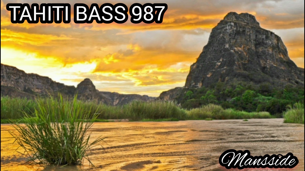 Tahiti bass 987- 