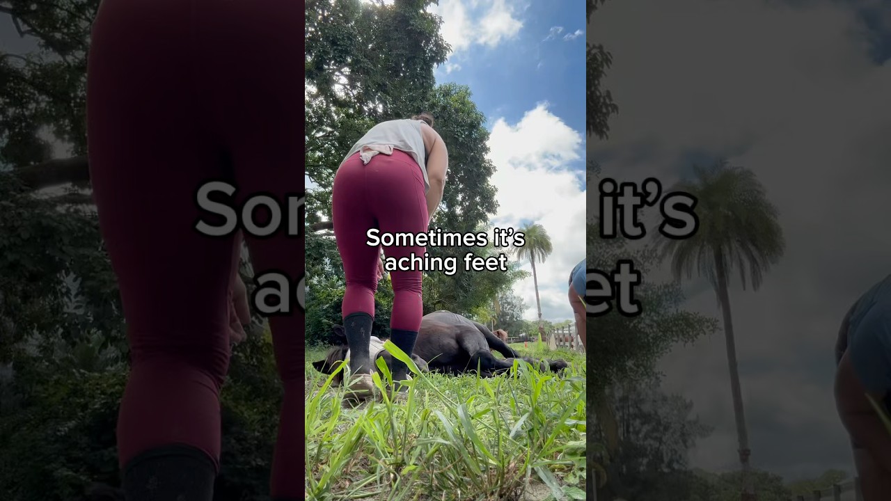 YOU CAN HELP animals of 