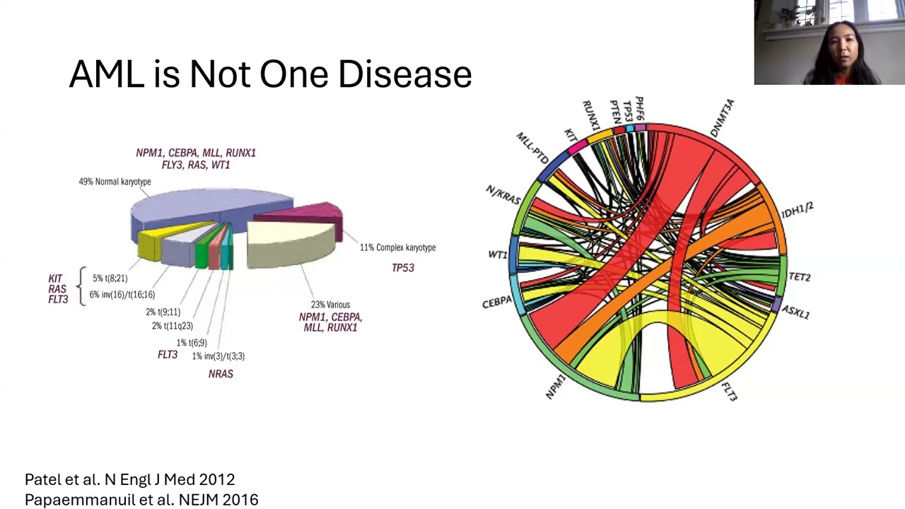 Venetoclax: Everything You Need To Know