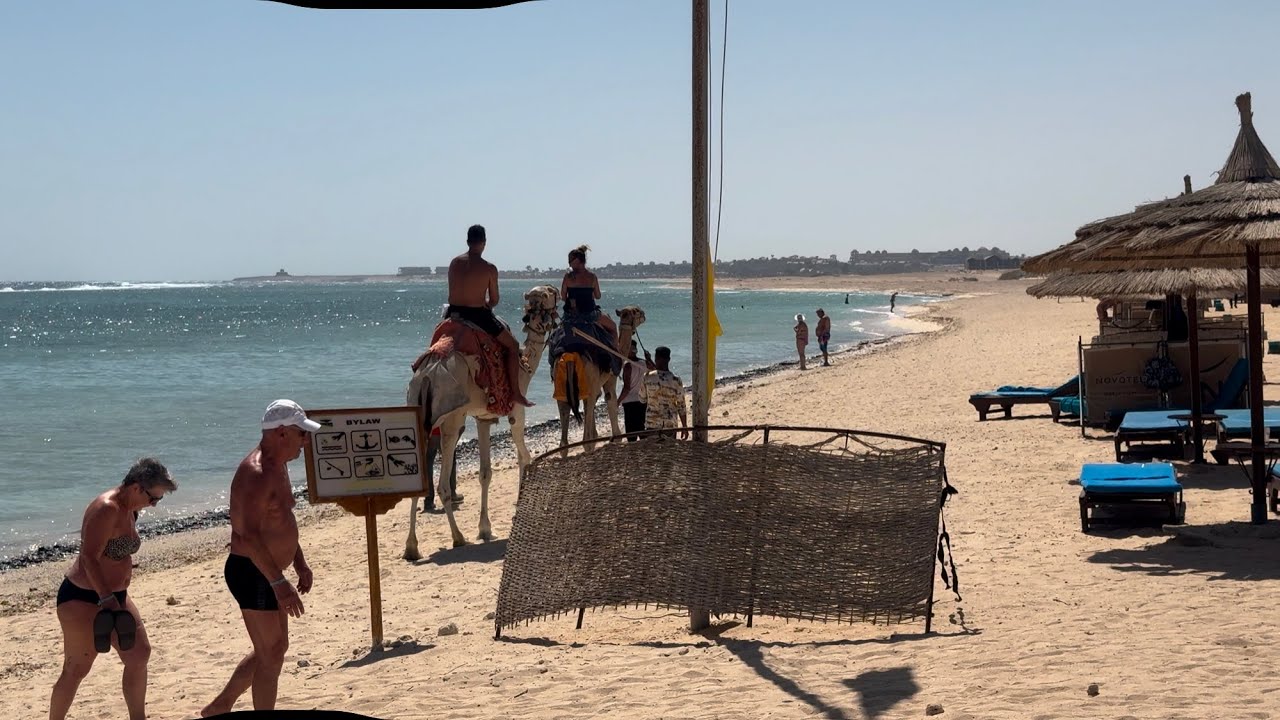 Beach - Novotel Marsa Alam Beach Resort - Red Sea - EGYPT - September 2024 - TUI