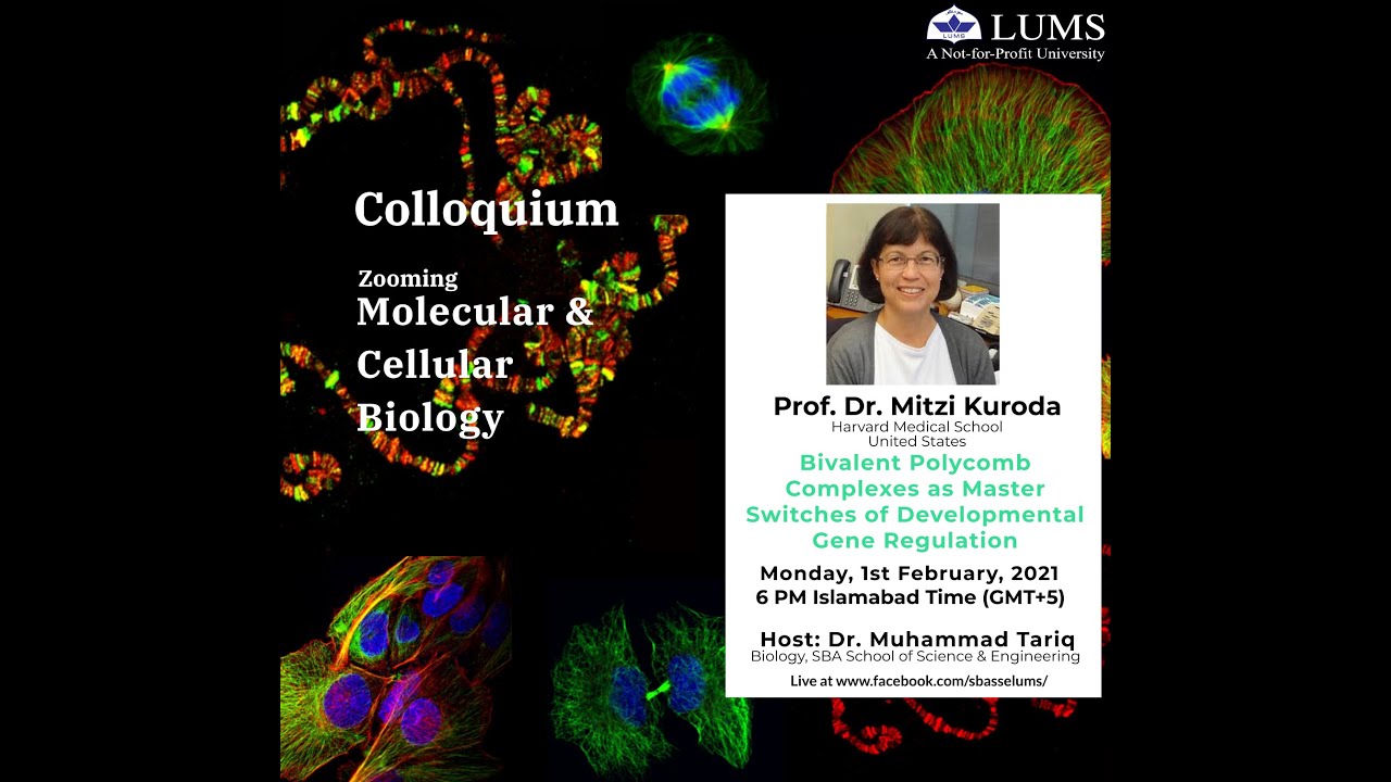 Bivalent Polycomb Complexes of Master Switches of Developmental Gene Regulation by Dr. Mitzi Kuroda