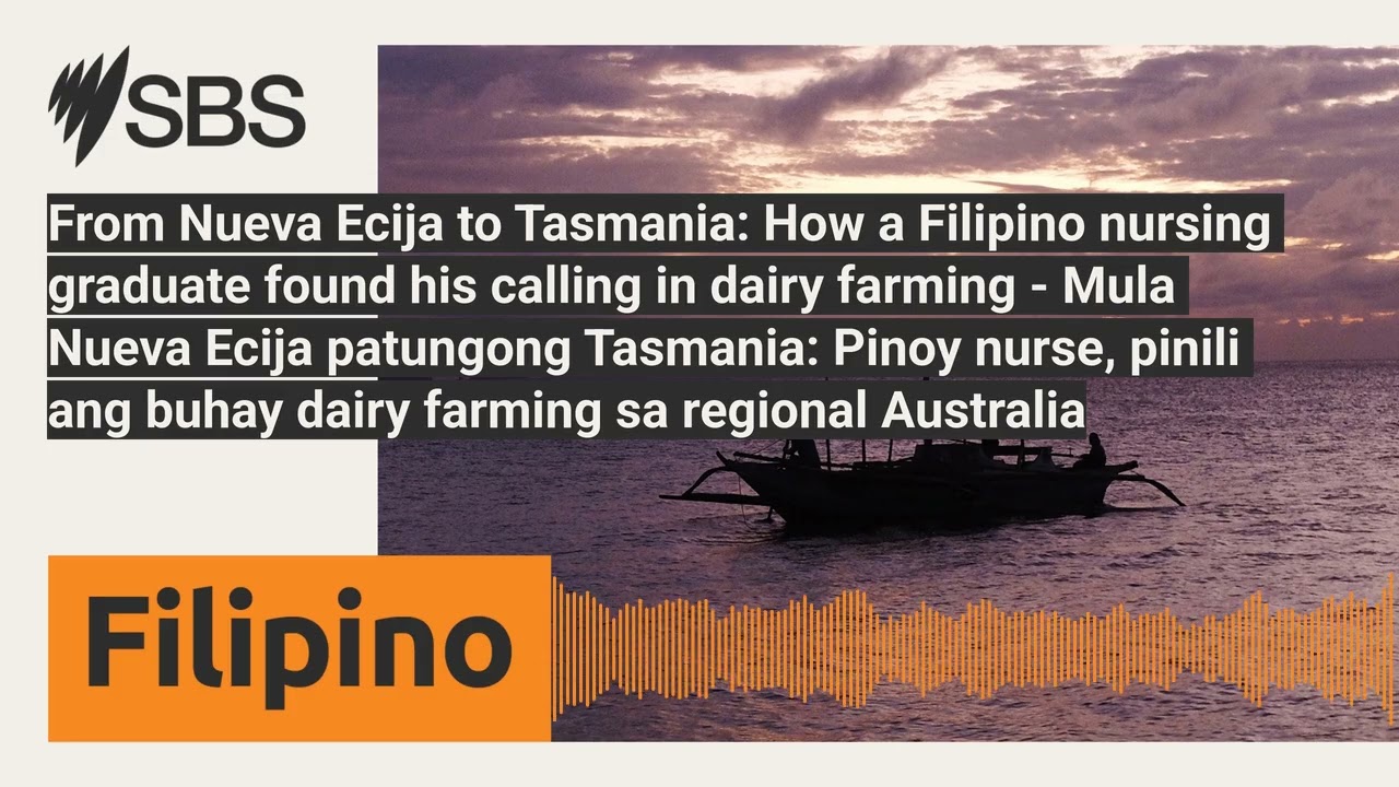 From Nueva Ecija to Tasmania: How a Filipino nursing graduate found his calling in dairy farming...
