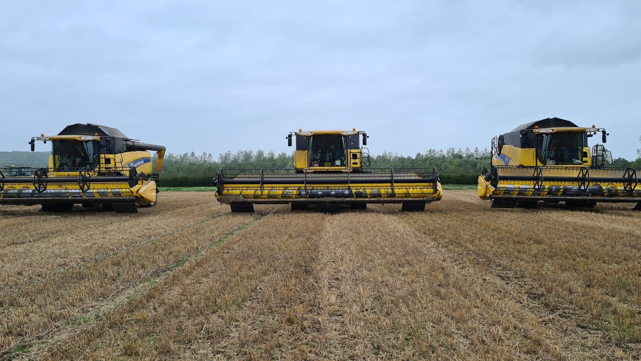 3 new holland combines harvesting wheat cx8070 cr9080 cr9060