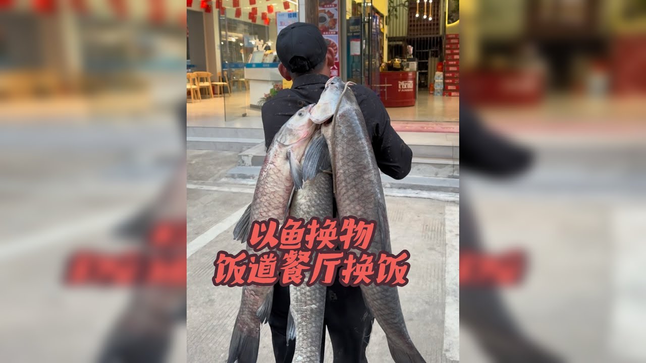 以鱼换物，感谢人美心善老板娘的爱心午餐，钓几条大鱼送给老板娘。
