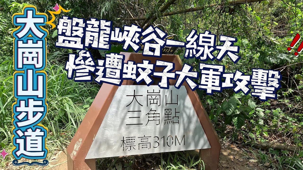 阿蓮 大崗山步道 盤龍峽谷一線天