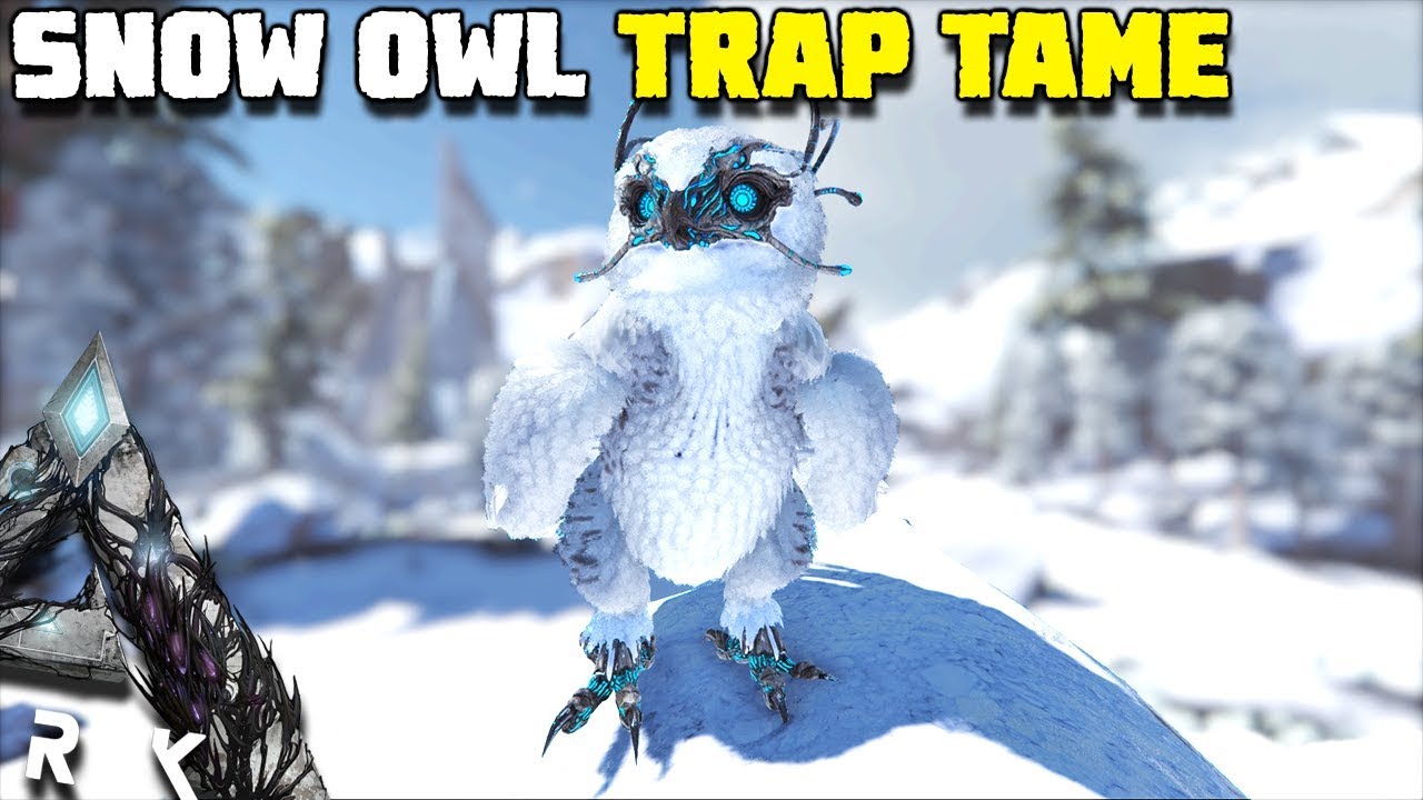 SNOW OWL TRAP TAME, THIS THING IS AMAZING !! | ARK:EXTINCTION [EP9]