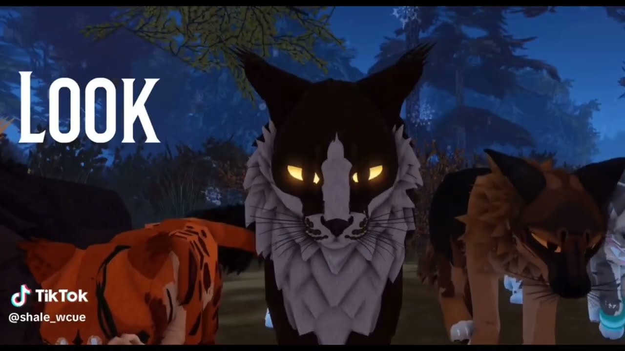 26 Minutes of New Wcue Tiktoks