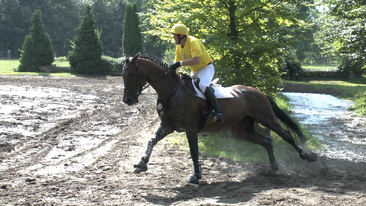 GELÄNDEREITEN 2015 GÜTERSLOH-SPEXARD - GELÄNDETAG 2015 SPEXARD