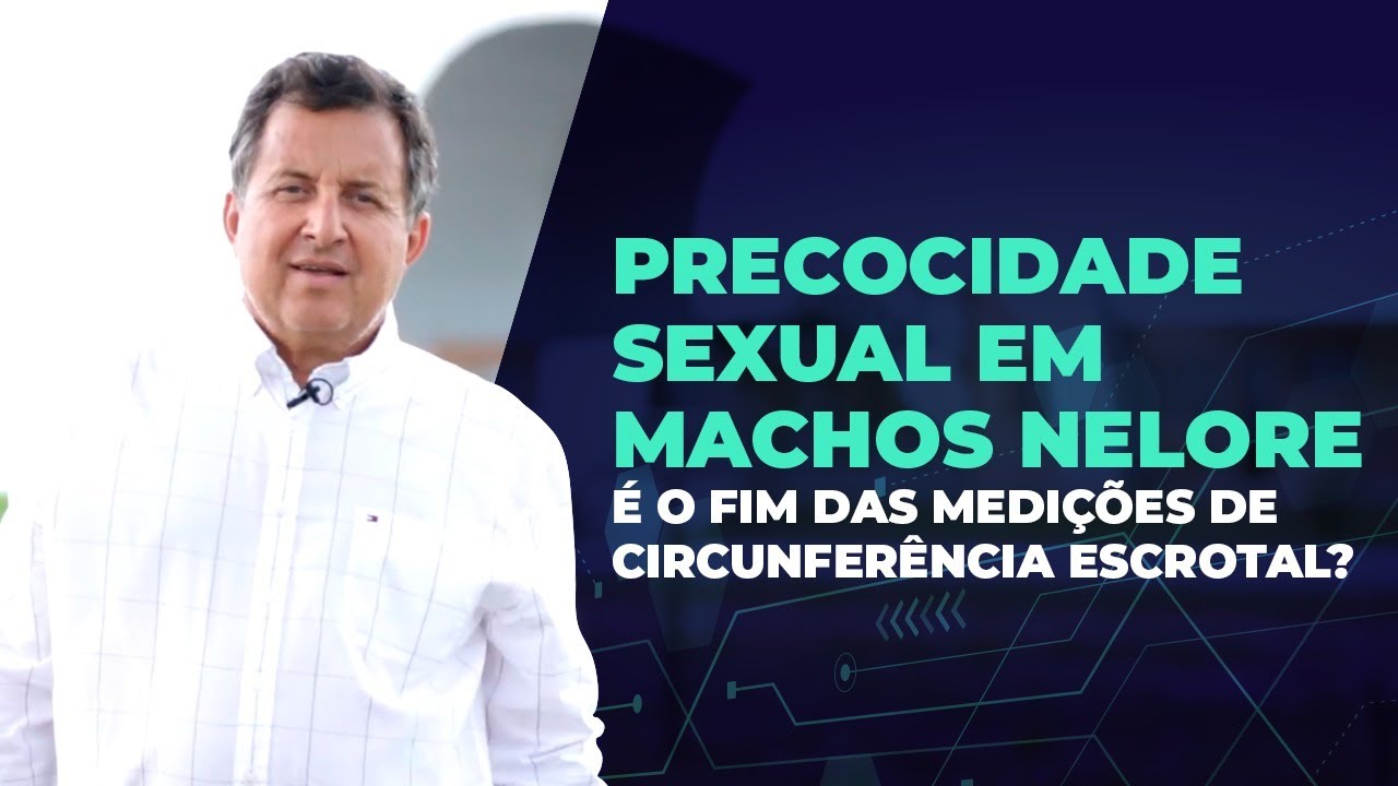 Precocidade sexual em machos Nelore