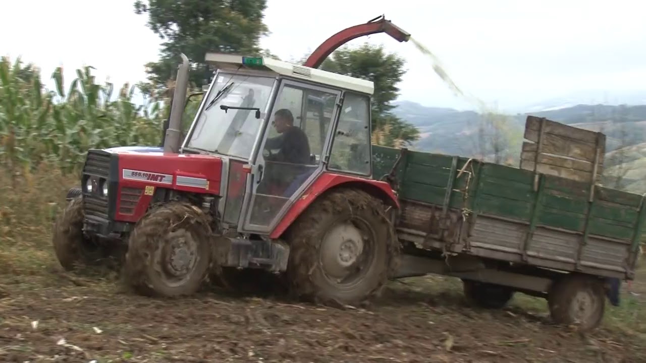 VIDEO PRIRUČNIK ZA RATARE - STANDARDNI HIBRIDI  - MIKADO - LEGENDA NIKAD NE UMIRE !