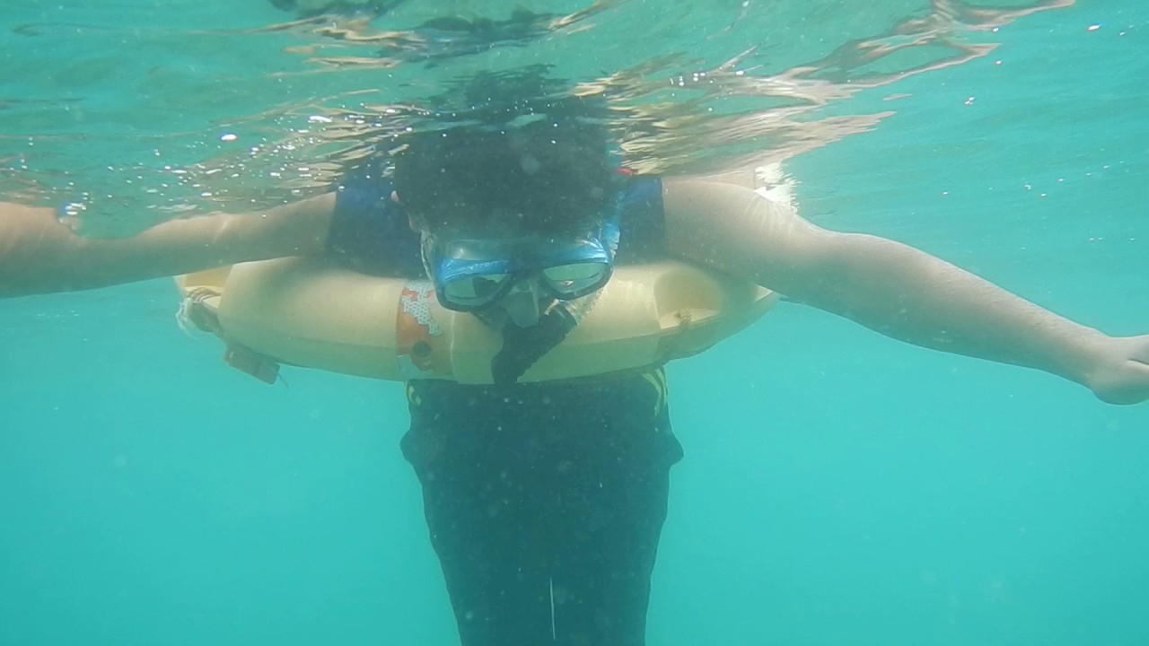 Snorkeling in Andaman | Wonderful Coral view of Elephant beach, Havelock