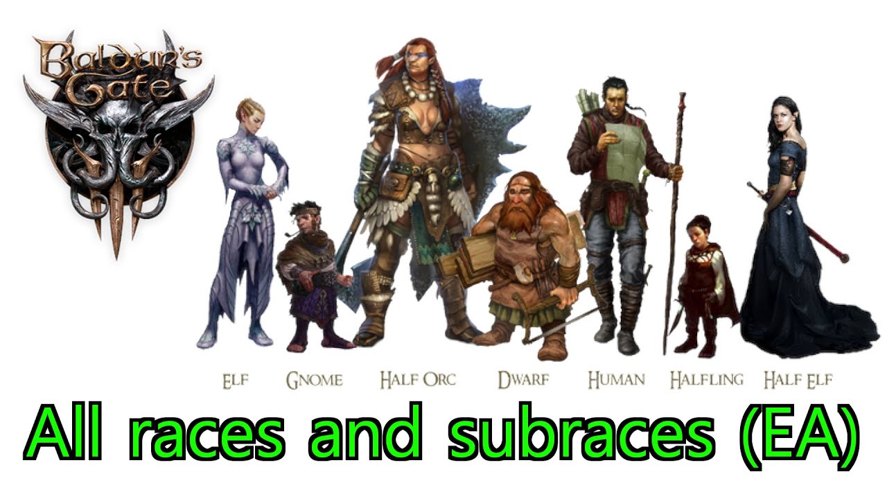 Baldur's Gate 3 early access - Races and subraces
